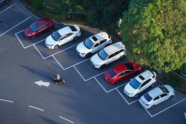 Arbre en ville sur parking