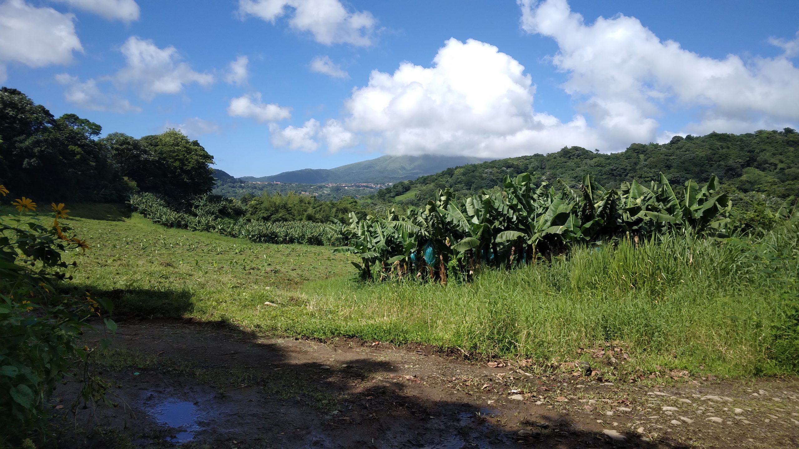 site du bassin bleu morne rouge