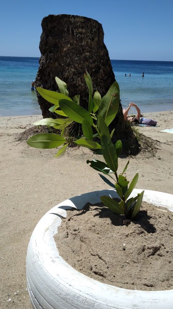 galba plage de anse figuier